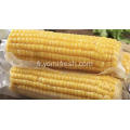 Corn rapide facile sur le COB